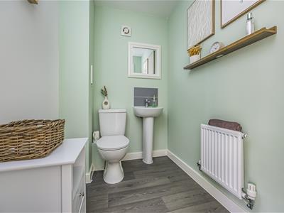 Picture 15